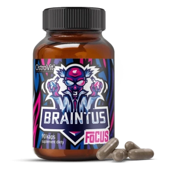Braintus-Focus-Ostrovit.webp